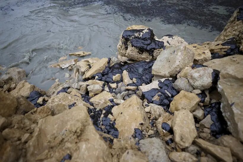     © РИА Новости. Виталий Тимкив