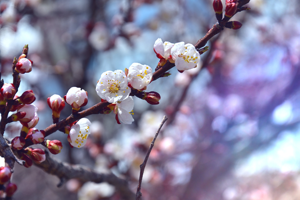 Копирование фотографий запрещено. Контент является интеллектуальной собственностью. Защищён авторским правом.