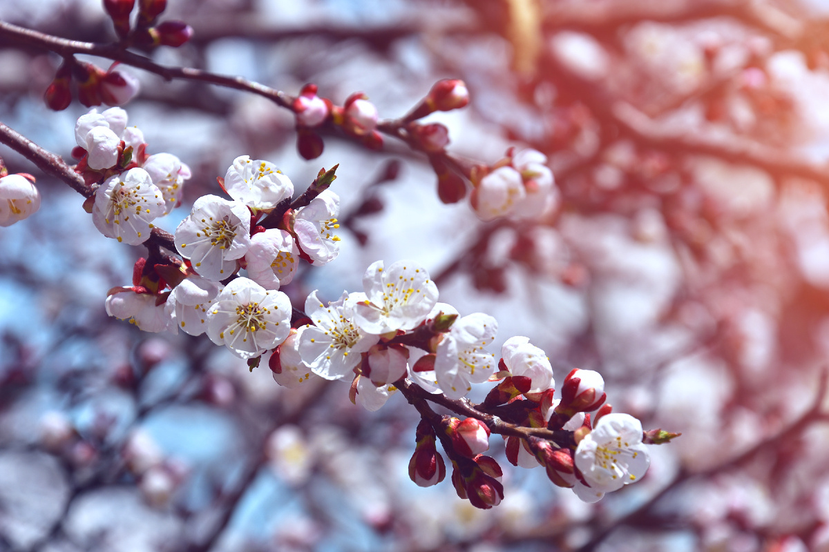 Копирование фотографий запрещено. Контент является интеллектуальной собственностью. Защищён авторским правом.