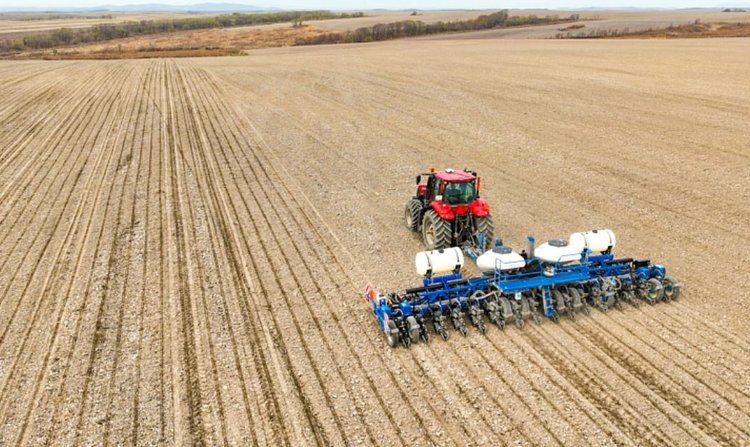    Темпы ярового сева 2025 в Приморье в три раза превышают прошлогодние