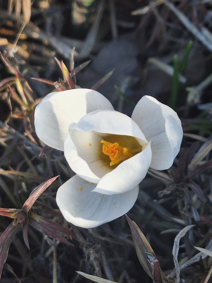 Фотоколлаж - собственность автора канала.