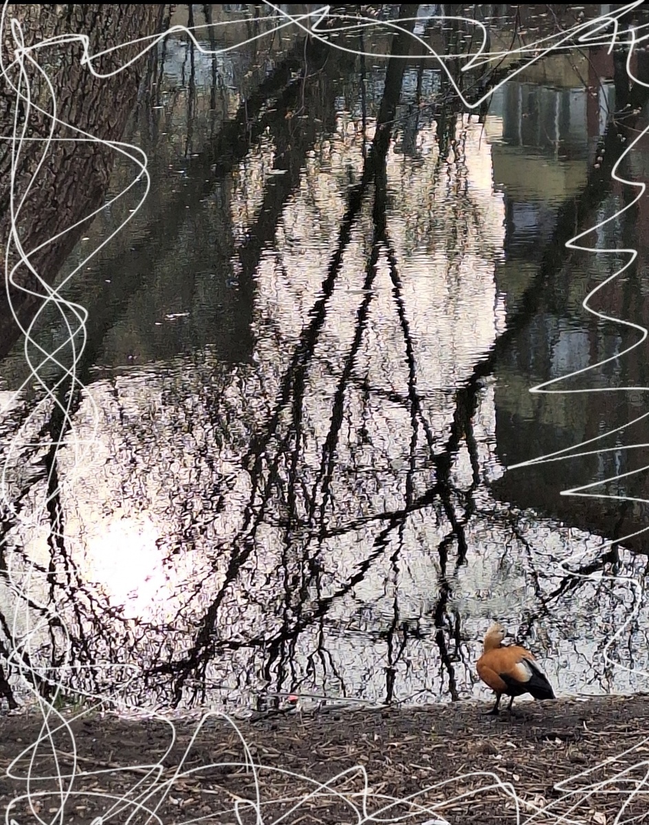 Фотоколлаж - собственность автора канала.