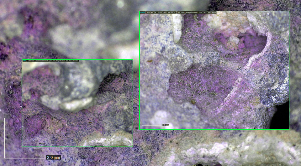   Maria Bukin; Golan Shalvi et al. / PLoS ONE, 2025