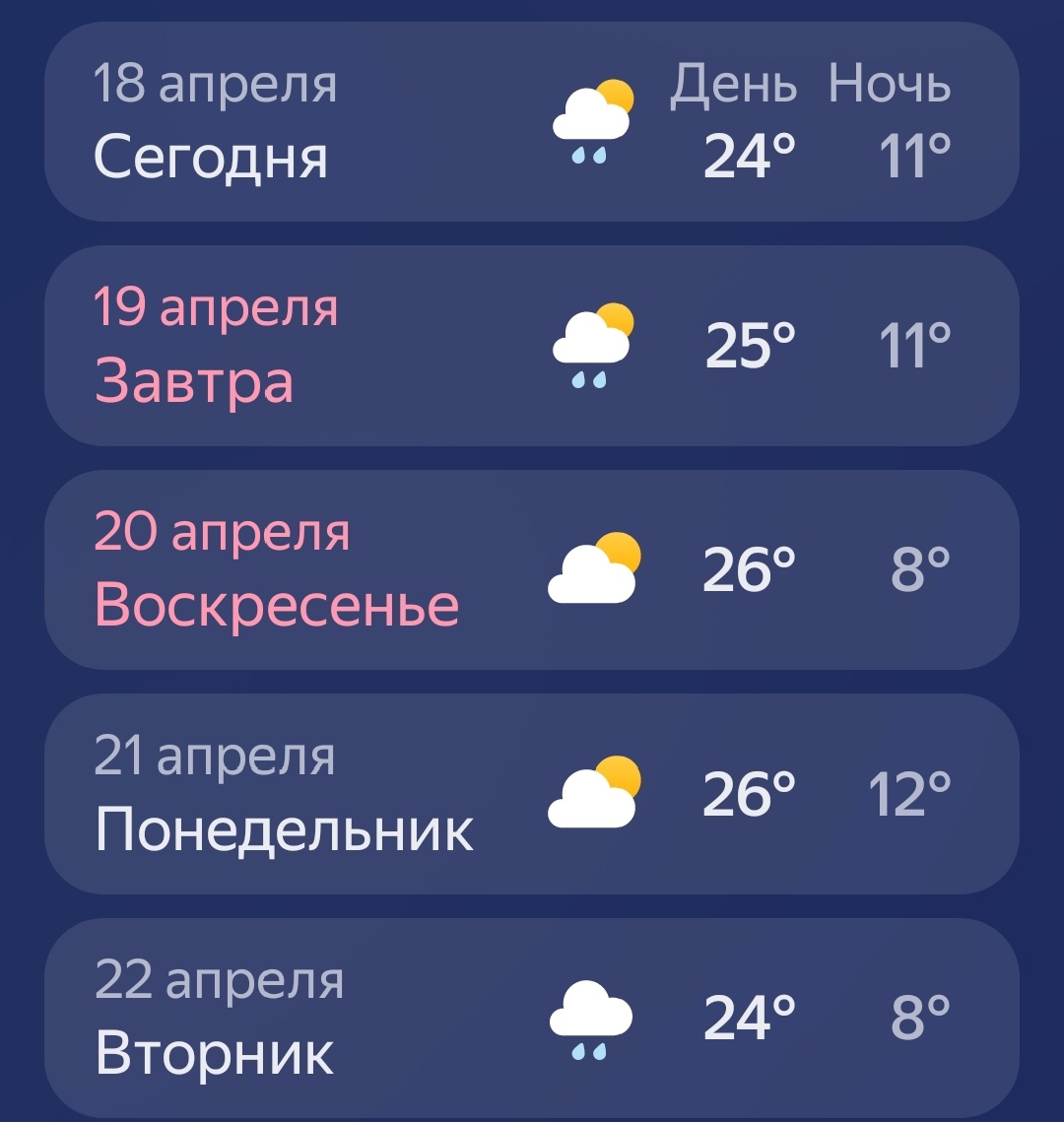 Такая погодка у нас