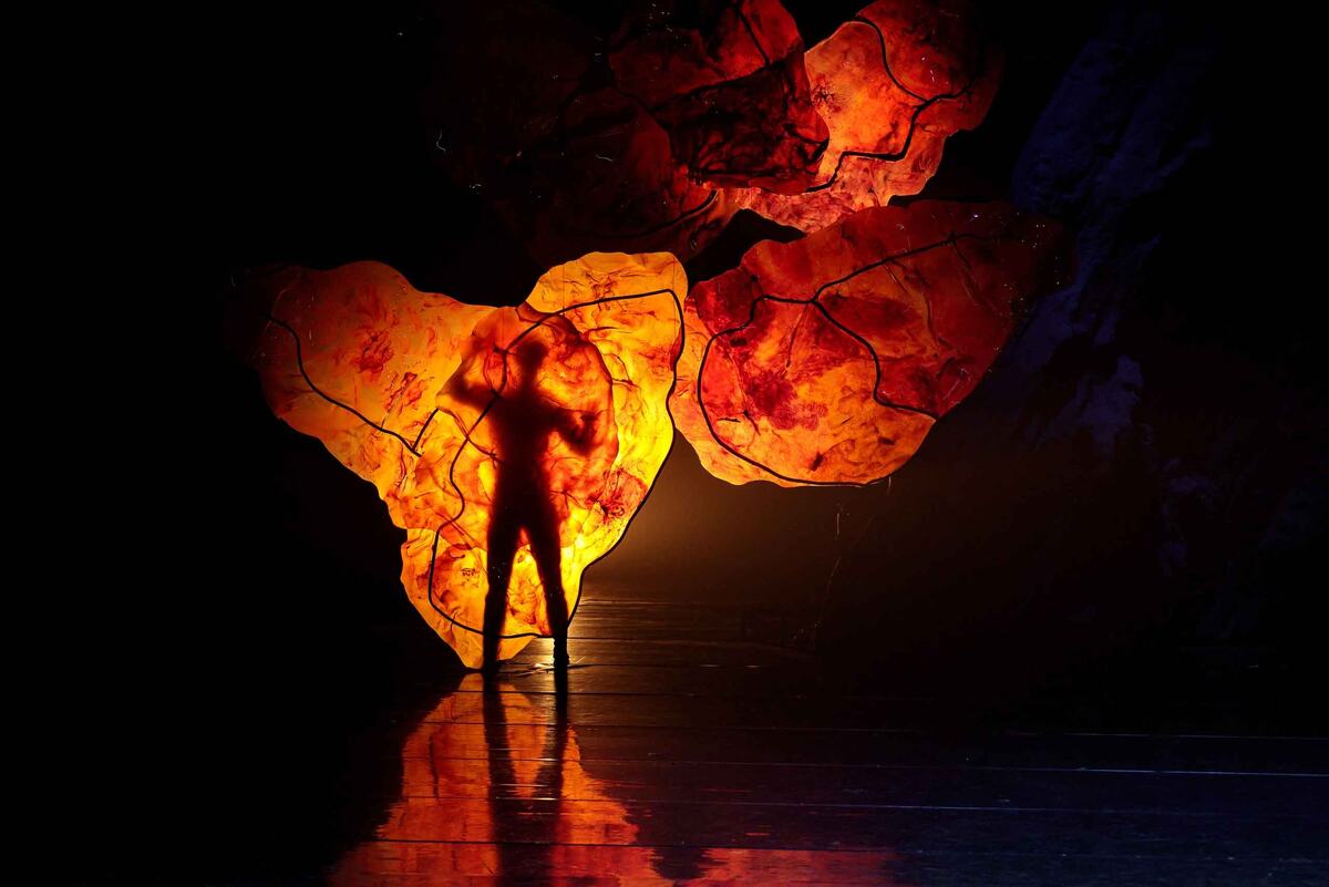 Фото: DANCE OPEN | международный фестиваль балета / ВКонтакте