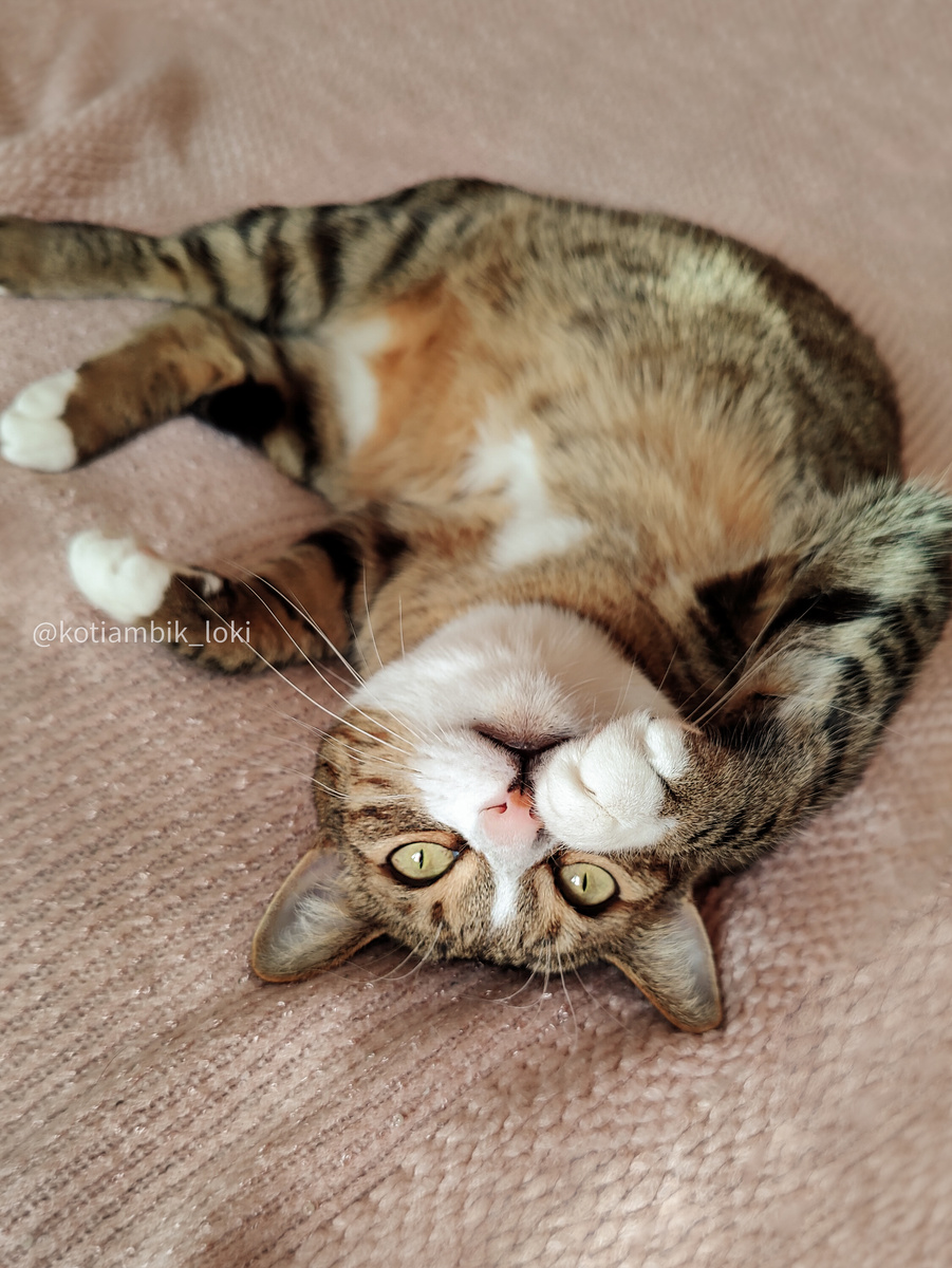 Позирую на камеру