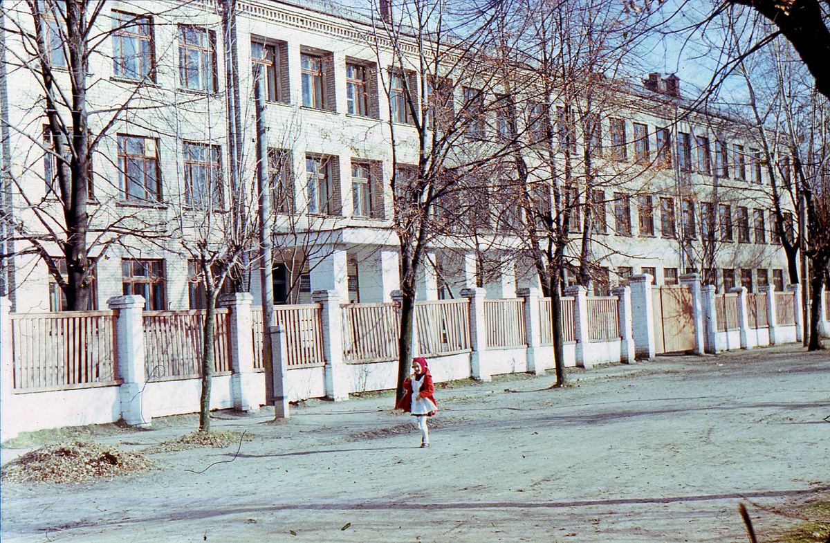 Моя родная Школа №3 г.Осиповичи 1980г. Учился здесь с конца 1963 года по весну 1969г. Деревья вдоль школы посажены и при моём активном участии с учителем по черчению Кашлачом. С одним из этих деревьев столкнулся убегая от матери и стал с осени в 5кл немного заикаться. У доски не мог отвечать, признаться не мог в причине, и начали ставить двойки и единицы...