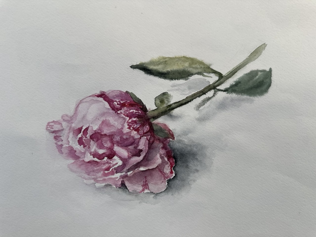 🎨 Акварели, День рождения и немного почты
Фото: личный архив Юлии Агаты Бородиной