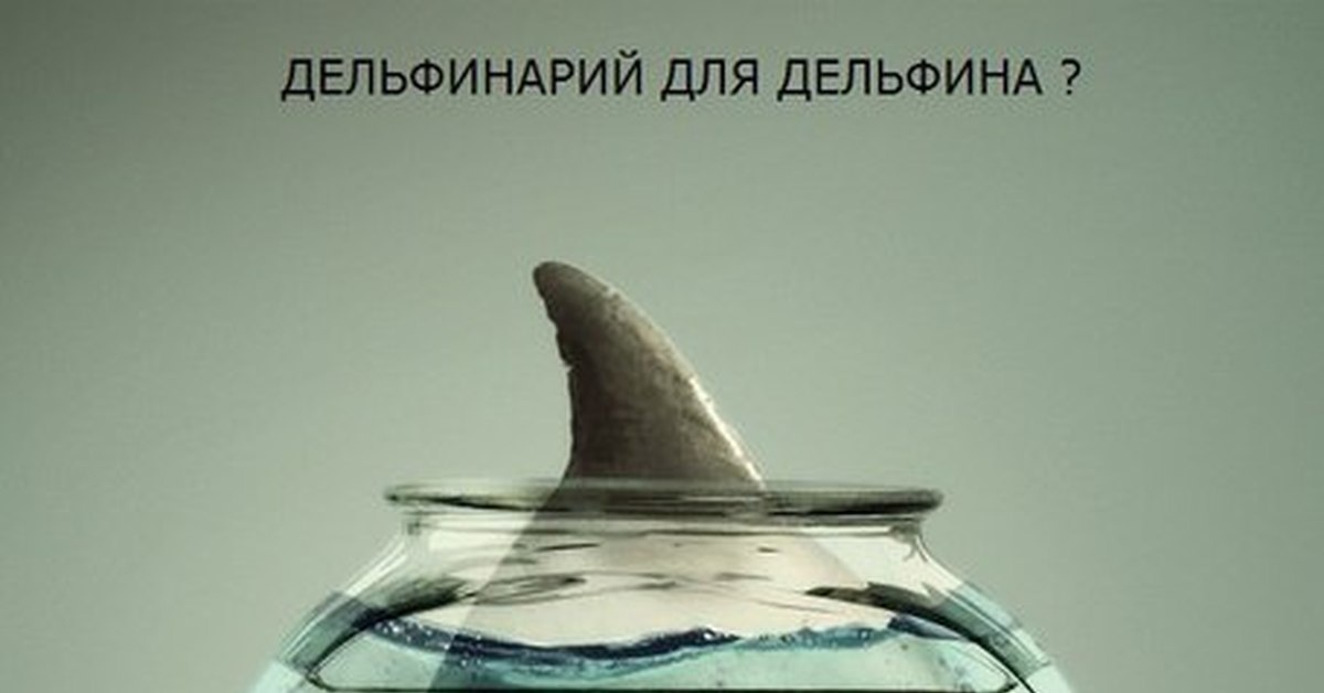 Фото из открытого источника сети Интернет