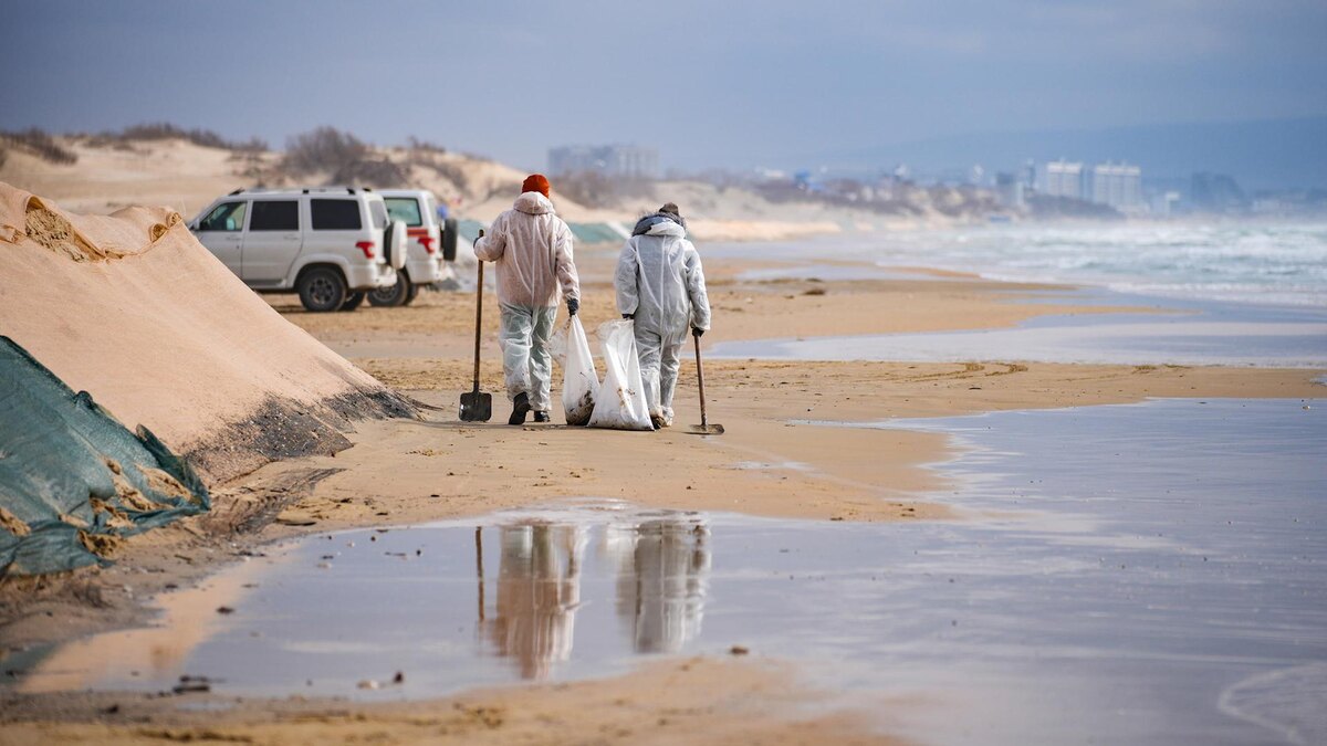 Фото: ИЗВЕСТИЯ/Сергей Лантюхов