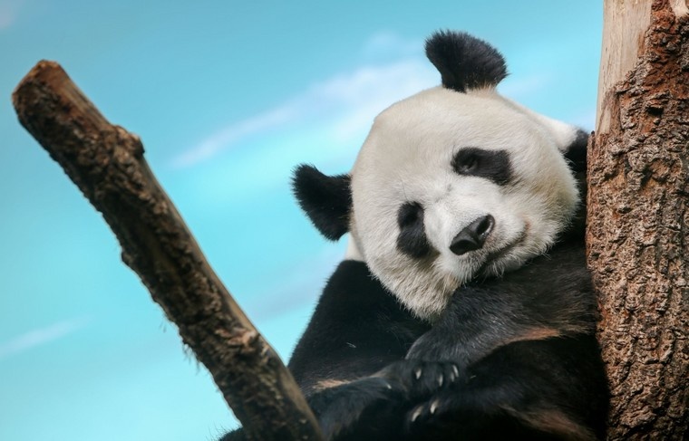    Наталья Шатохина/NEWS.ru