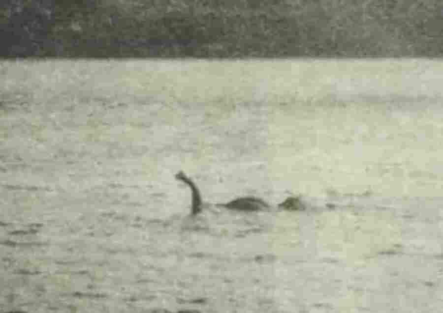 Лох-Несс, глубокое пресноводное озеро на севере Шотландии, является одним из нескольких мест, привлекающих туристов слухами о криптидах или мифических существах. Истории о длинношеем, плавающем монстре, прозванном «Несси», циркулируют по этому озеру уже почти сто лет.