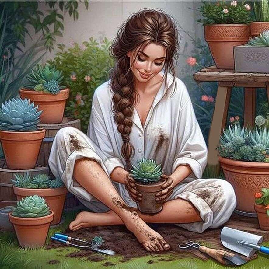 Яндекс картинки