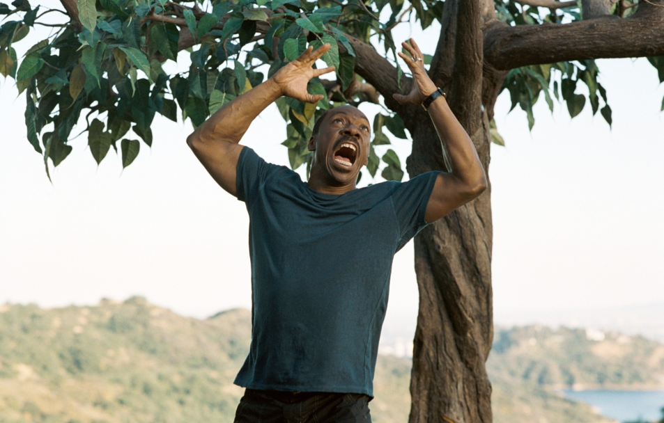 Кадр из фильма «Тысяча слов»