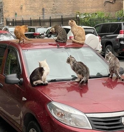 Это фотография из интернета, в иллюстративных целях. Подруга в тот момент вообще не подумала о фото! 