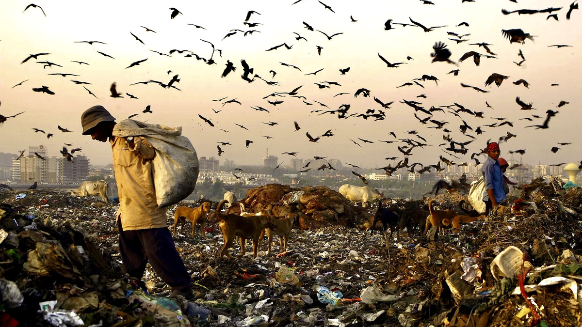 Зачастую в Индии девочек бросают вот на таких свалках 