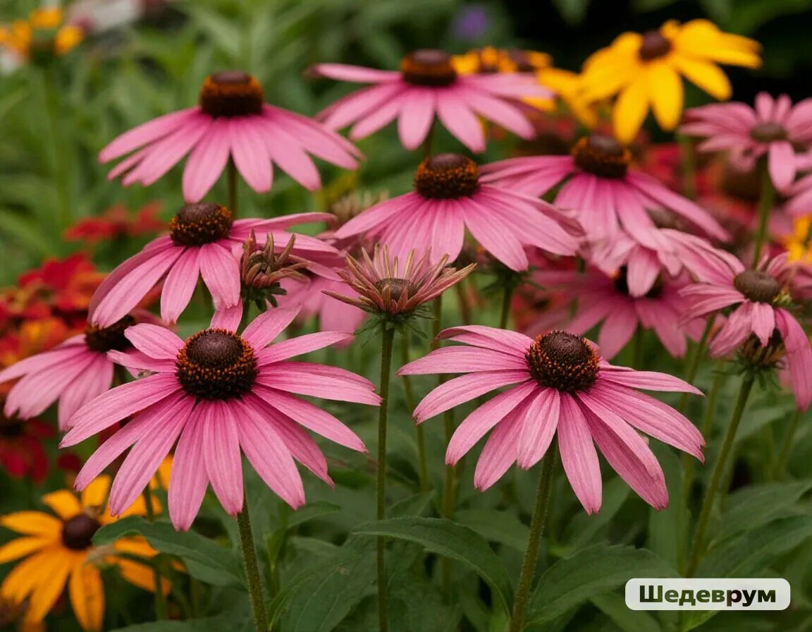 сгенерировано нейросетью