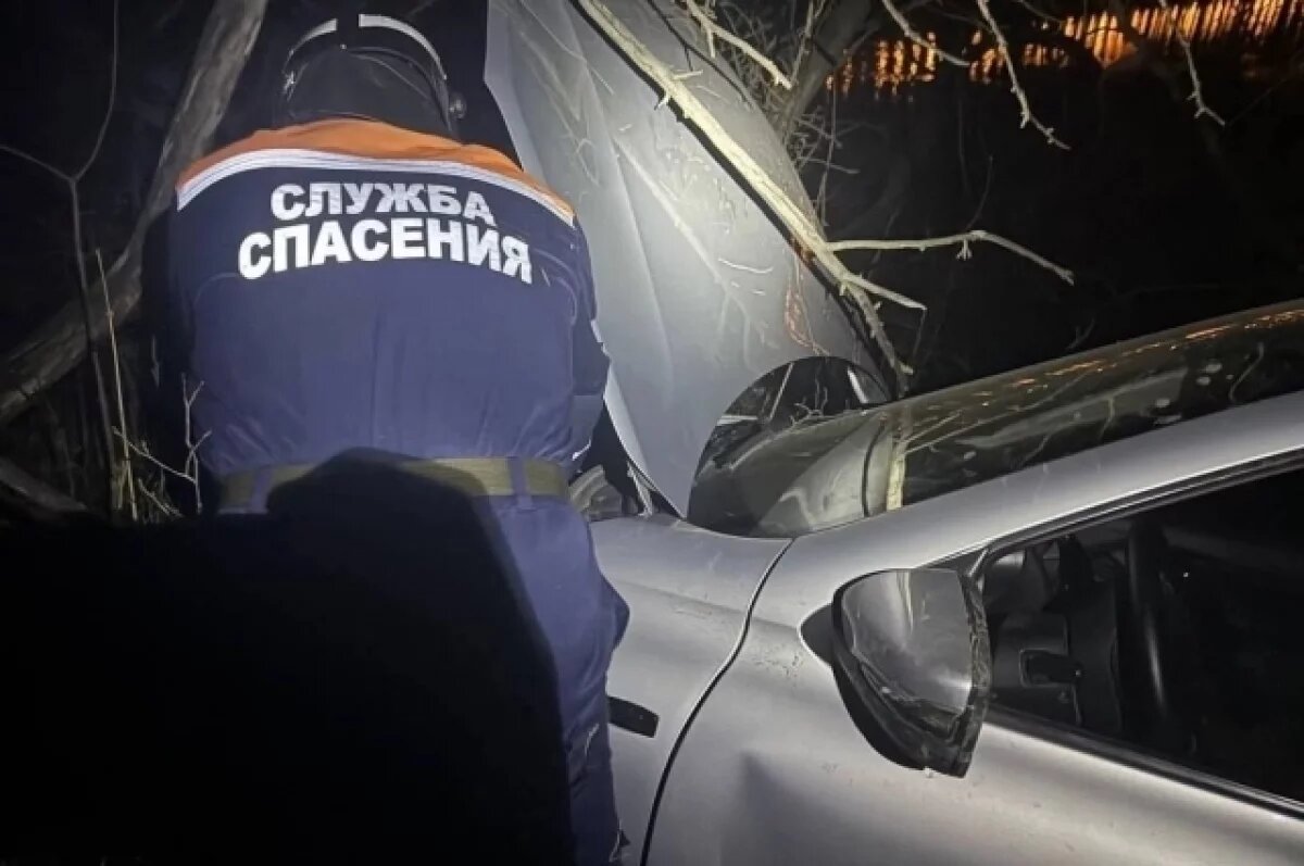    Водитель «Гранты», съехавшей в овраг Милановского, сбежал с места ДТП