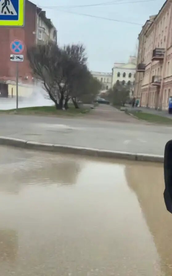    Фото: стоп-кадр видео из телеграм-канала «Мегаполис | ДТП и ЧП | Санкт-Петербург | Питер»