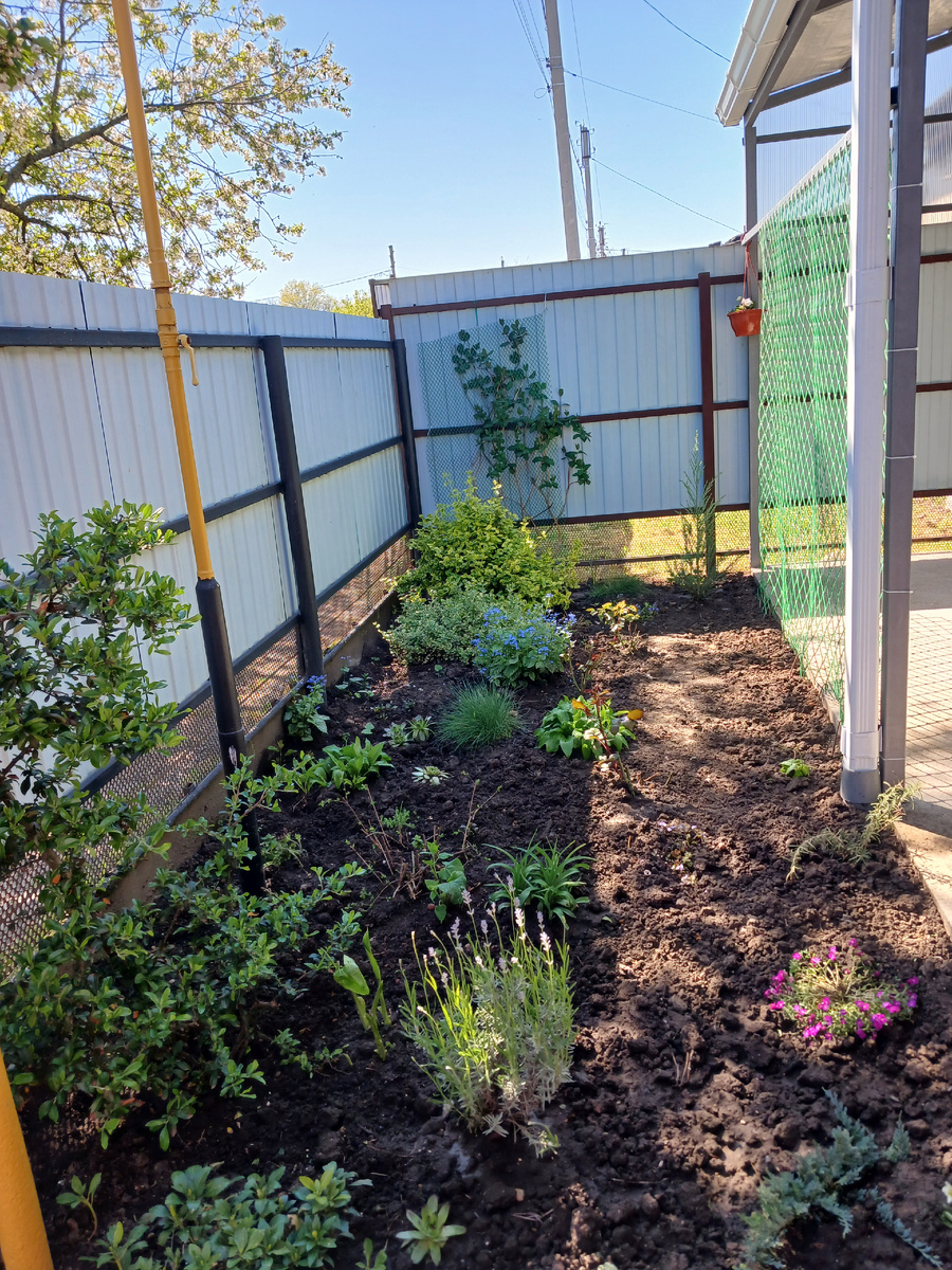 Цветочная клумба