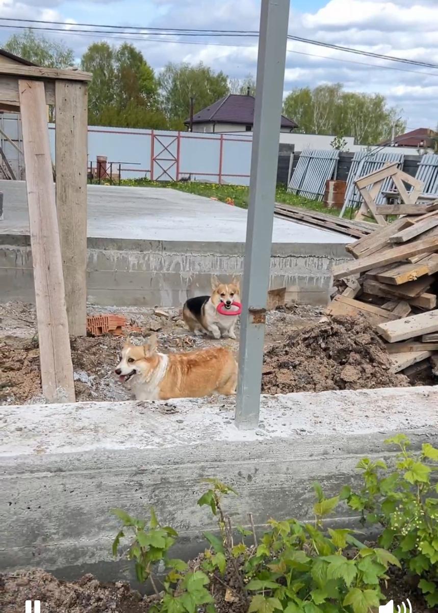  Мэри даже колечко прихватила, вдруг рабочие захотят с ней поиграть…