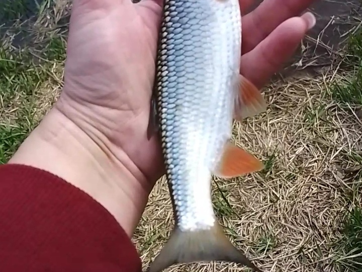 Как я сходила на рыбалку 17 апреля 2025 г.