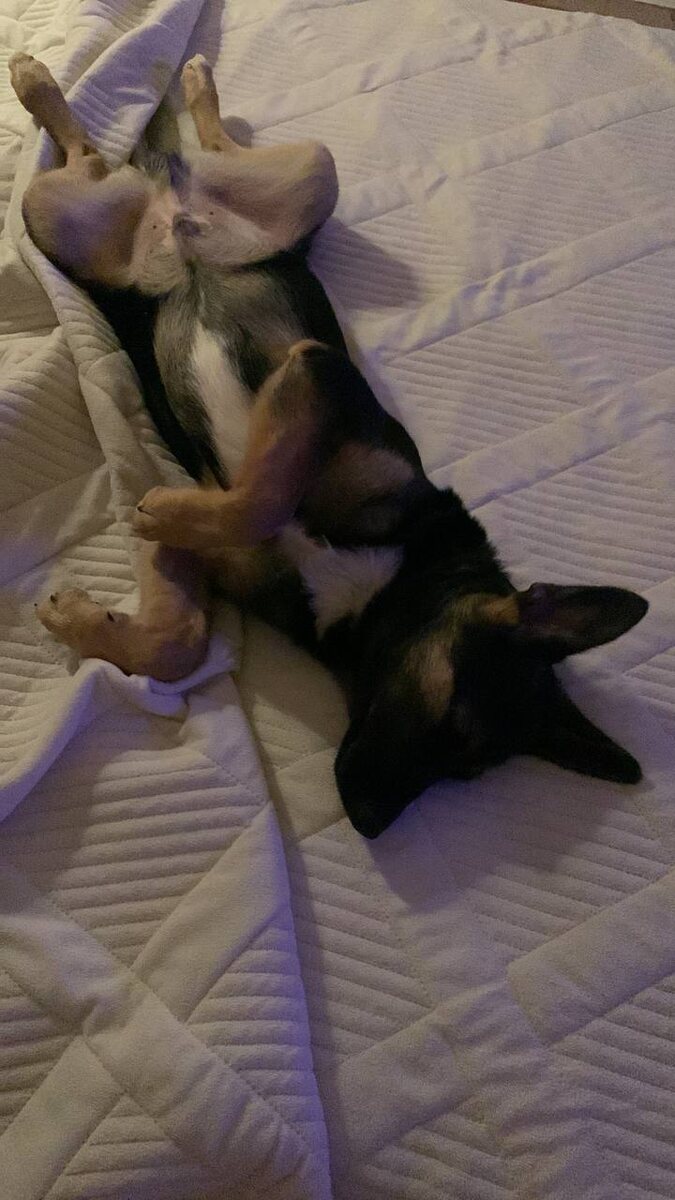 Гаврюша прикидывается сладко спящим