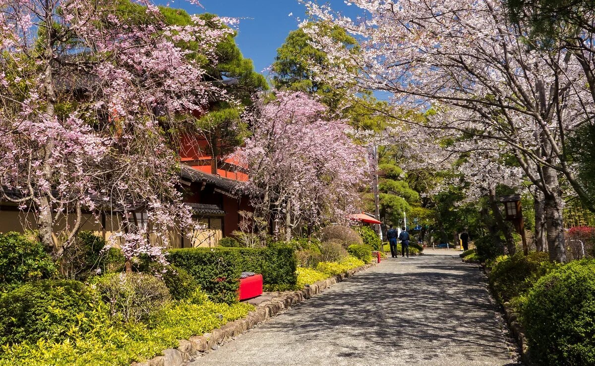    Спрос на японские визы остается высоким