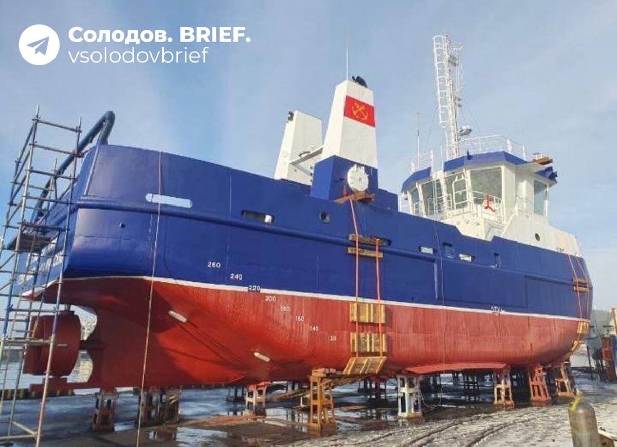 Фото: телеграм-канал губернатора Камчатского края Владимира Солодова