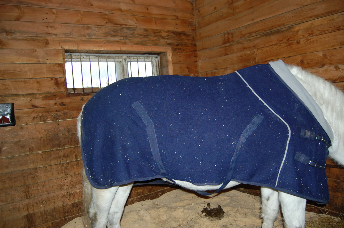 флисовая попона