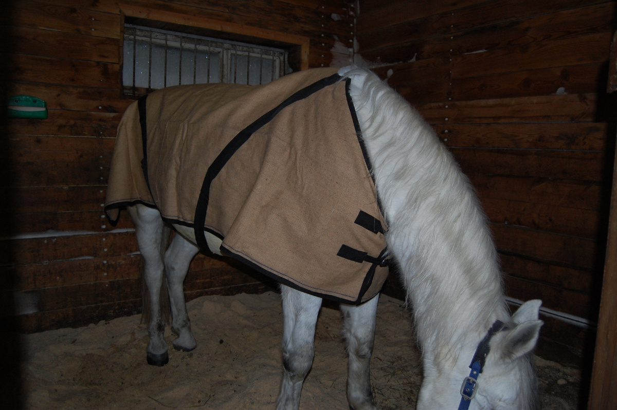 это она совсем новенькая. Листайте, там еще фото есть