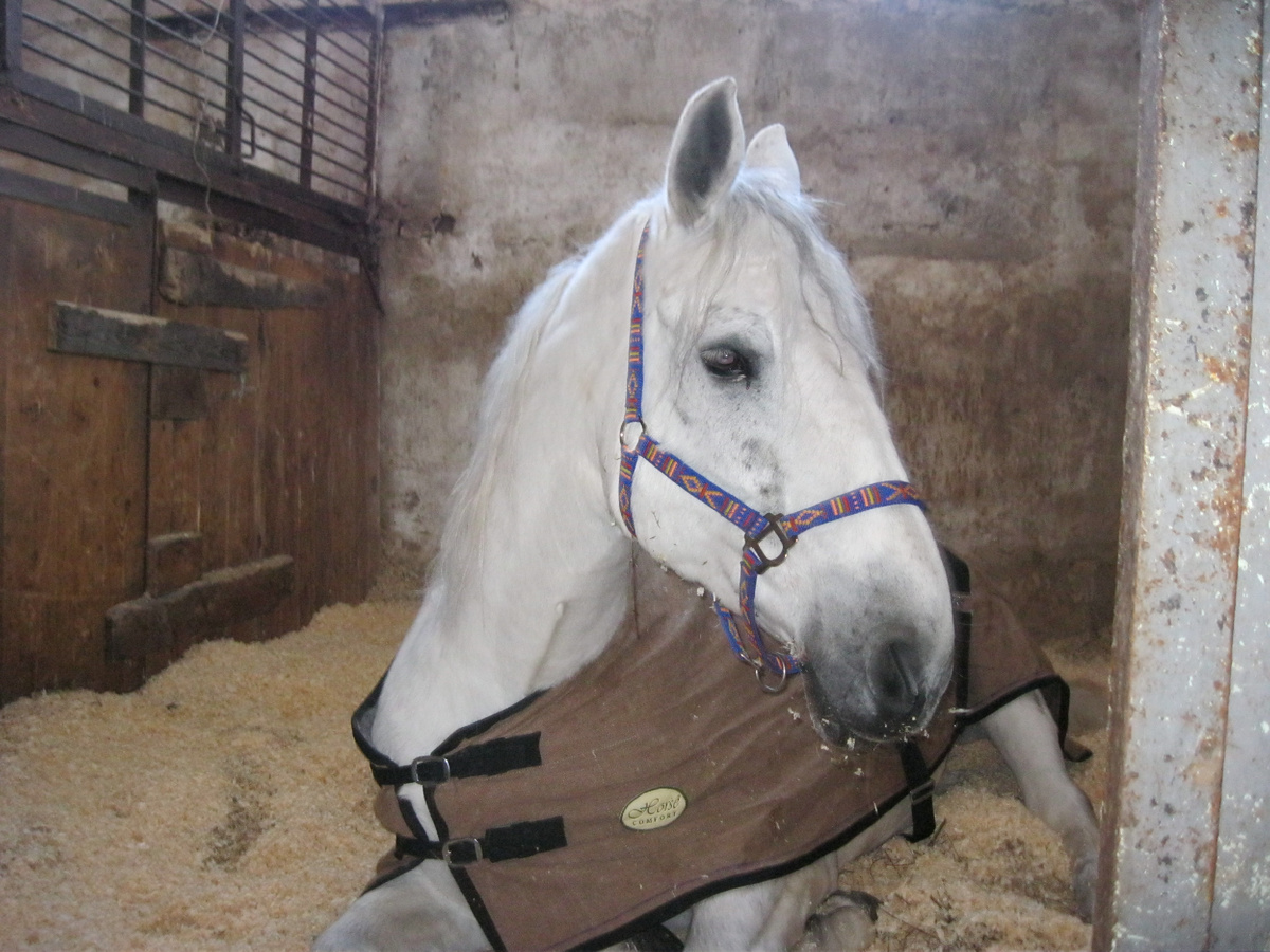 это мы уже в Импульсе