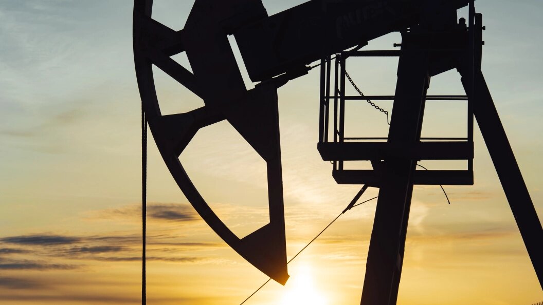    Фото: Oleg Spiridonov/Business Online/Globallookpress