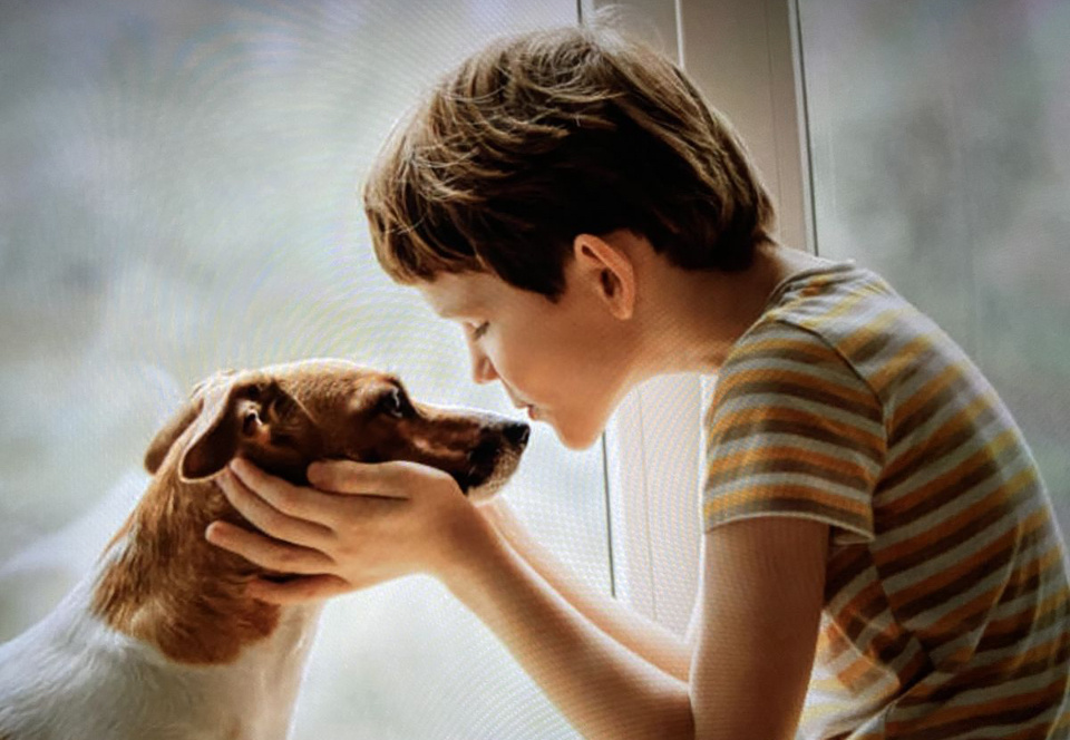 Яндекс.картинки для обложки