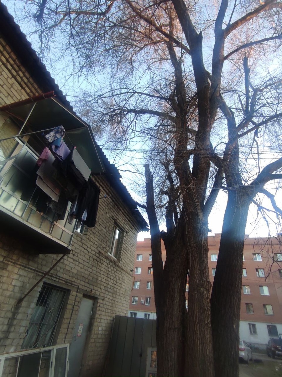 Вид на кровлю дома по адресу у. Парникова, 17