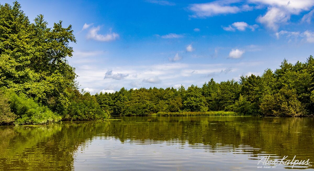 Река Печора (Печори). Грузия.