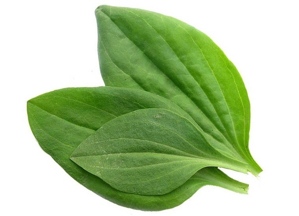 Яндекс картинки