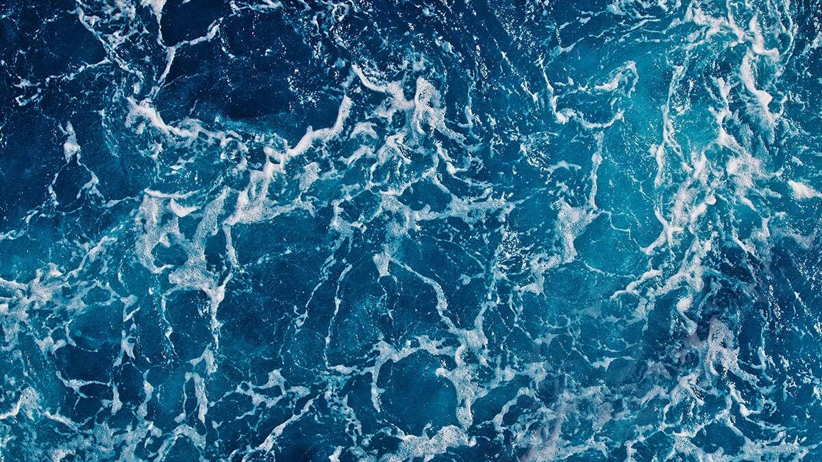    Фото: shutterstock