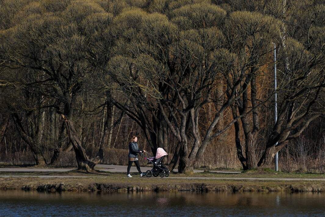 Фото: ИЗВЕСТИЯ/Дмитрий Коротаев