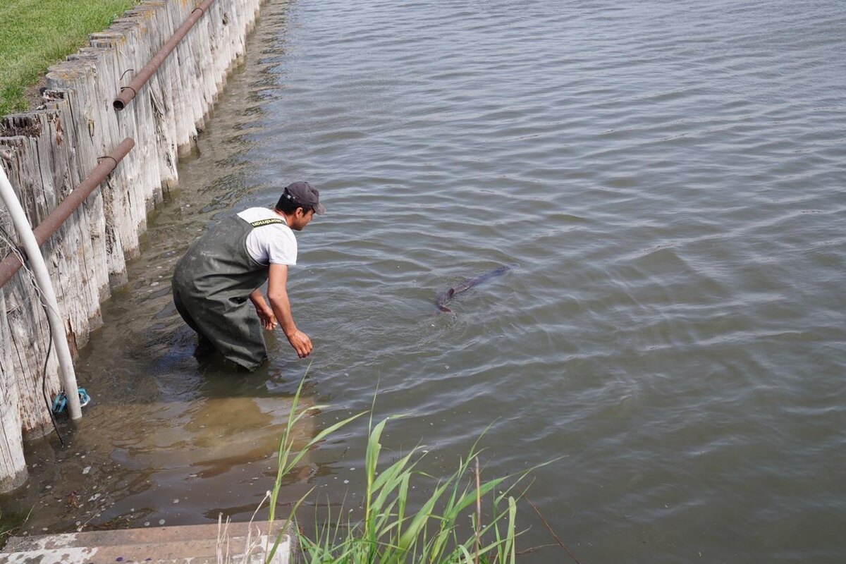    Фото пресс-службы администрации Приморско-Ахтарского района