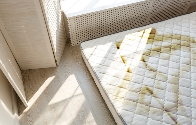    Shutterstock/FOTODOM