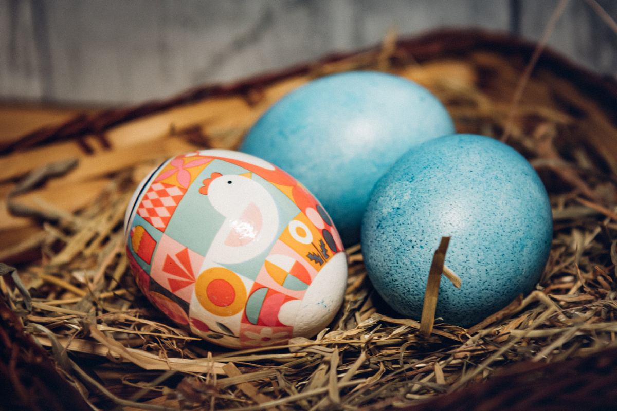 Фото: Oleg Spiridonov/Business Online/Globallookpress