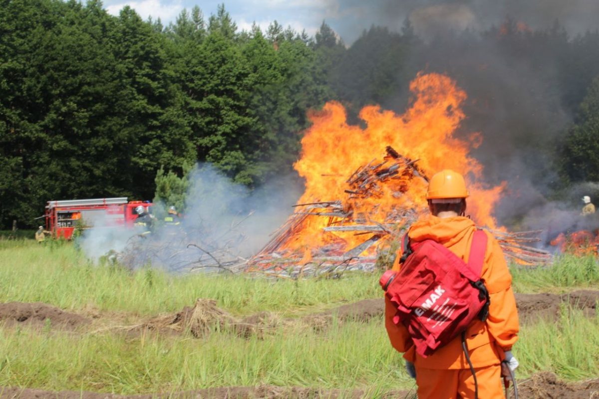    Минлесхоз предупреждает о повышенной угрозе возникновения лесных пожаров в Нижегородской области