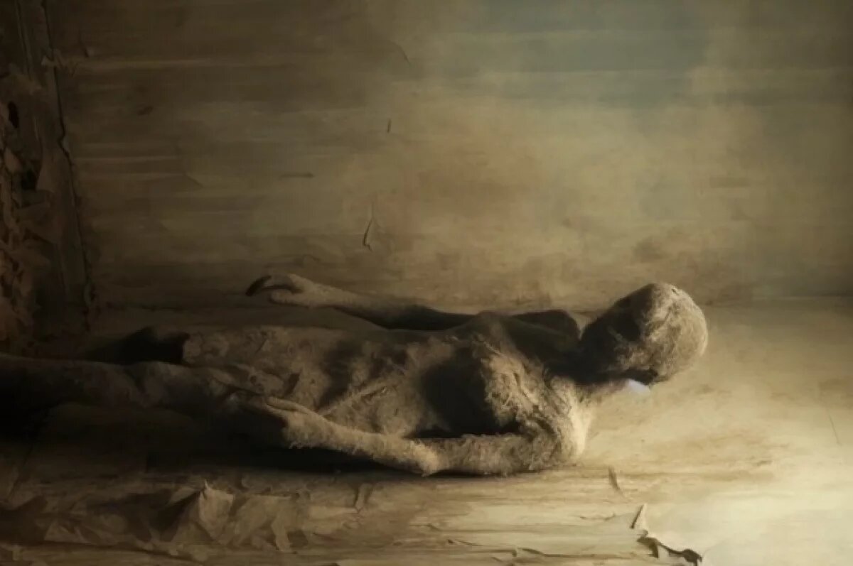    В чате не значился.