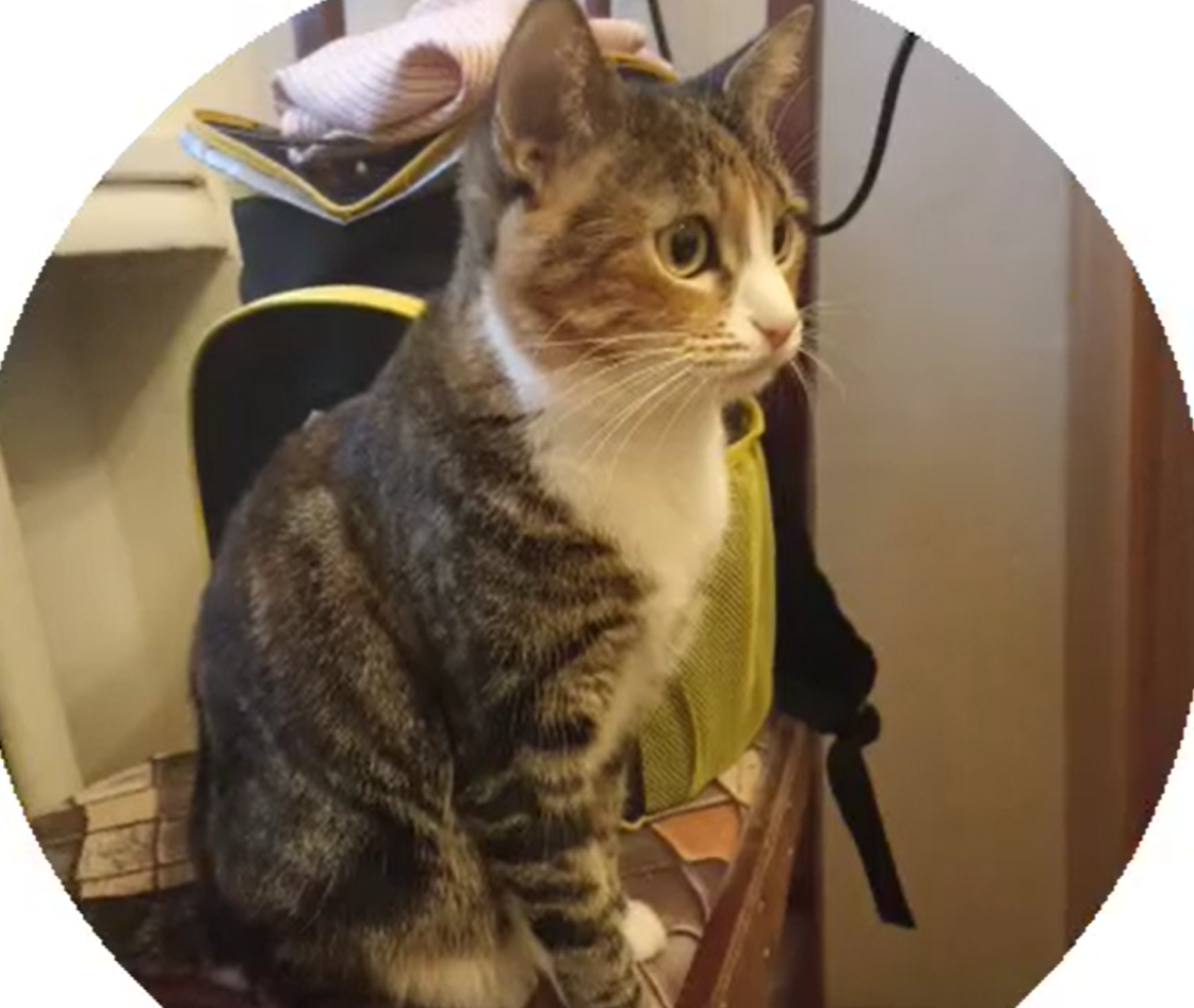 Моя Неся в шоке.