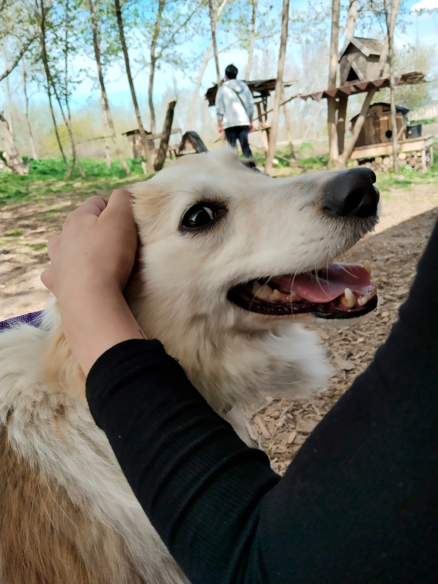 Свиша на выступлении❤️