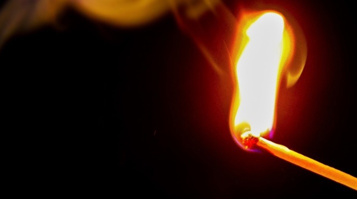    Фото: pxhere.com Екатерина Шахнина