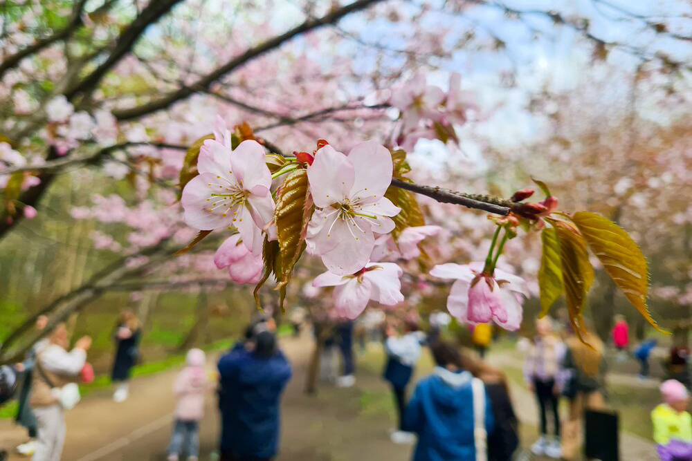    ©Агентство городских новостей "Москва"