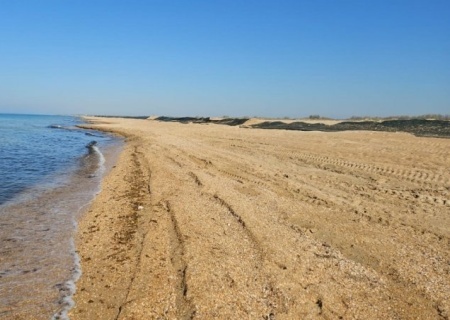    Роспотребнадзор забраковал пляжи Анапы и Темрюка