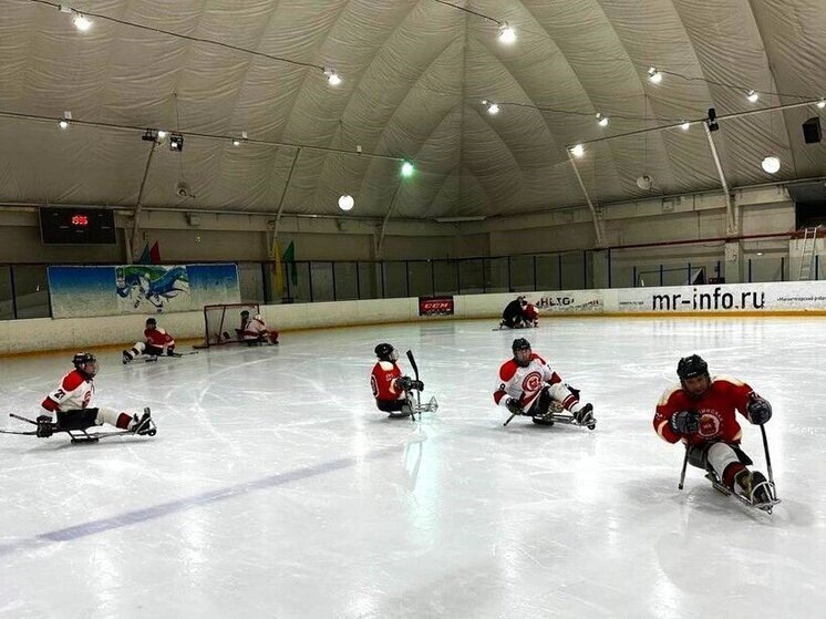     Фото: Денис Анискин, пресс-служба филиала фонда «Защитники Отечества»